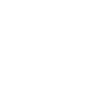 sp-phone-white-icon